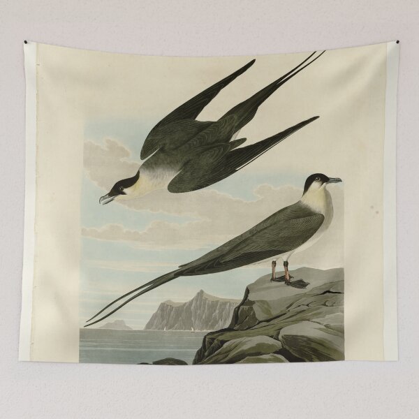 Item preview, 267 Arctic Yager designed and sold by Bird-Lore.