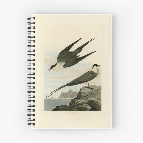Item preview, 267 Arctic Yager designed and sold by Bird-Lore.