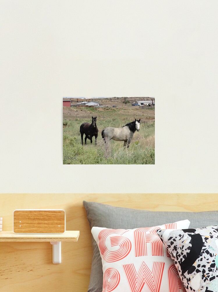 Thumbnail 1 of 3, Photographic Print, Horsin' Around designed and sold by Visual Diversity.