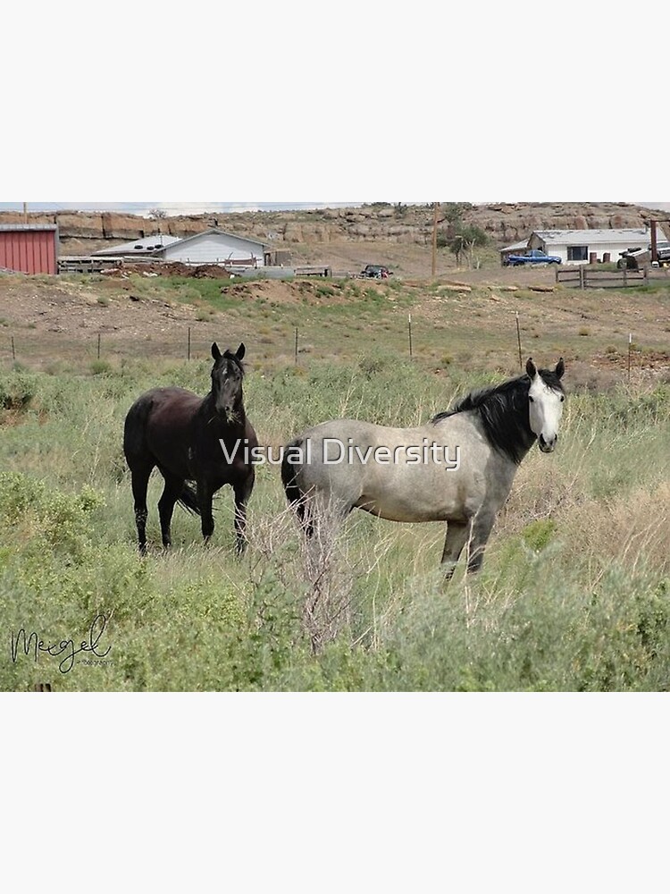 Thumbnail 3 of 3, Photographic Print, Horsin' Around designed and sold by Visual Diversity.