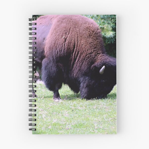Item preview, GRAZING BISON designed and sold by BOLLA67.