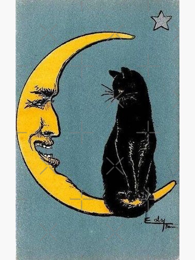 Black cat hot sale and moon