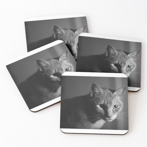 Item preview, Now where did that mouse go....? designed and sold by Roz McQuillan Fine Art & Photography.