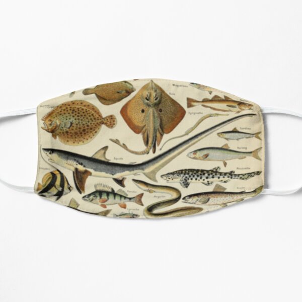 Fish Chart Flat Mask