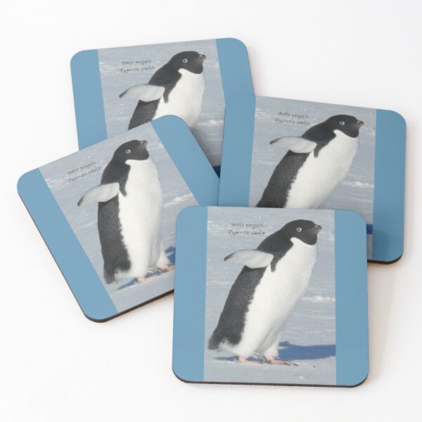 Item preview, Adélie penguin (Pygoscelis adeliae) designed and sold by DaleJacobsen.