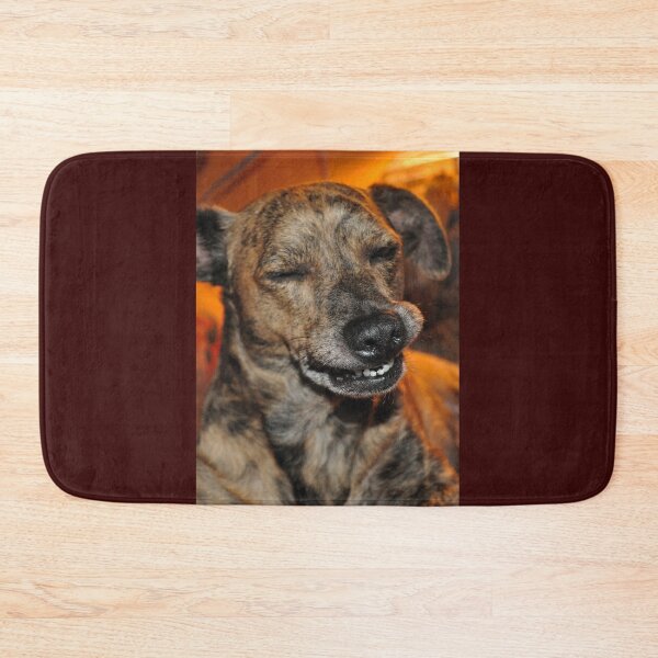 A Pit Wiener Smile Bath Mat