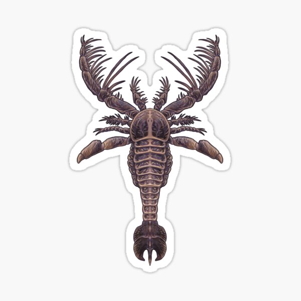 Megalograptus Welchi Sticker Von Coffeeisblack Redbubble