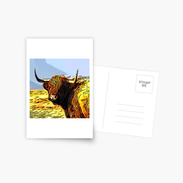 A highland coo on Hoy Postcard
