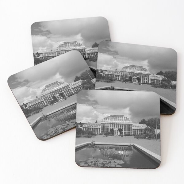 Item preview, Kaisaniemi botanic garden B&W designed and sold by vororoshop.