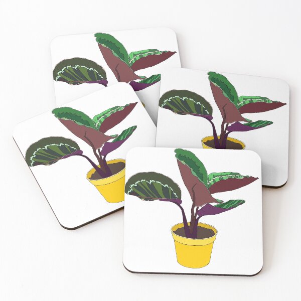 Item preview, Calathea House Plant designed and sold by raesins.