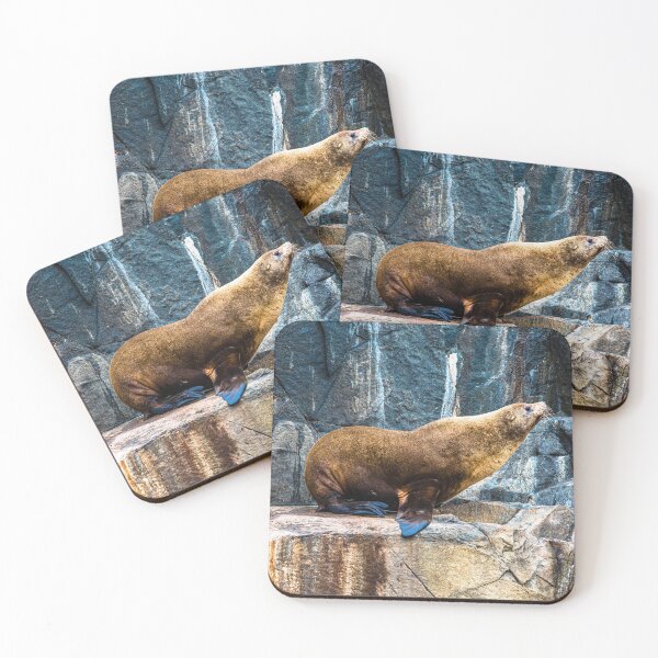 Item preview, Sea Lion, Bruny Island, Tasmania, Australia designed and sold by jennyjones.