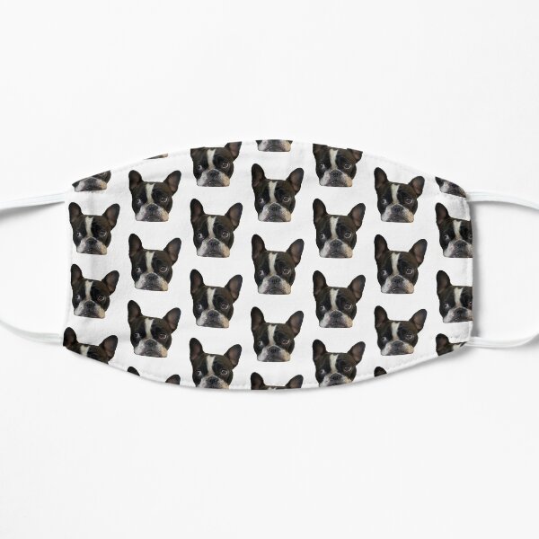 Happy Frenchie pattern face Mask Mask