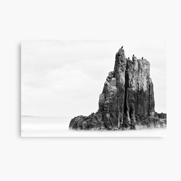 Item preview, Shags on a Rock designed and sold by Malcolm Katon.