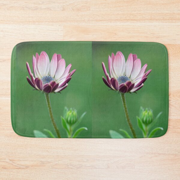 Item preview,  Osteospermum designed and sold by John Ray.