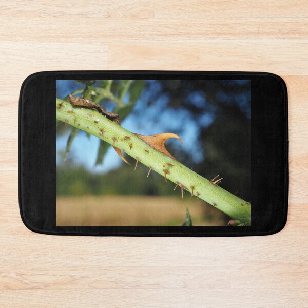 Item preview, Wild rose stem with thorns designed and sold by SDym Photography.