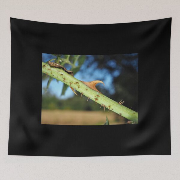 Item preview, Wild rose stem with thorns designed and sold by SDym Photography.