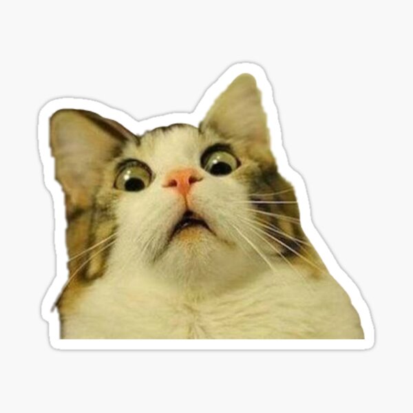 Most funny cat Look Sticker