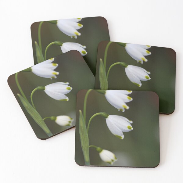 Item preview, Snowdrops Times Three designed and sold by Joy Watson - Natural Light Photography .