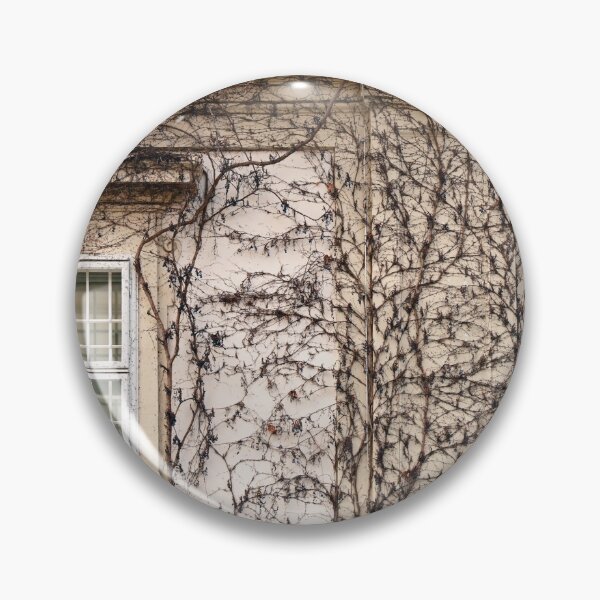Item preview, wall with rustic window and creeper plant in Vienna Austria designed and sold by goceris.