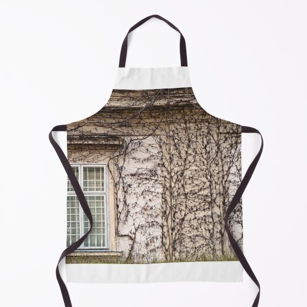 Item preview, wall with rustic window and creeper plant in Vienna Austria designed and sold by goceris.