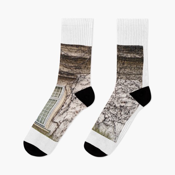 Item preview, wall with rustic window and creeper plant in Vienna Austria designed and sold by goceris.
