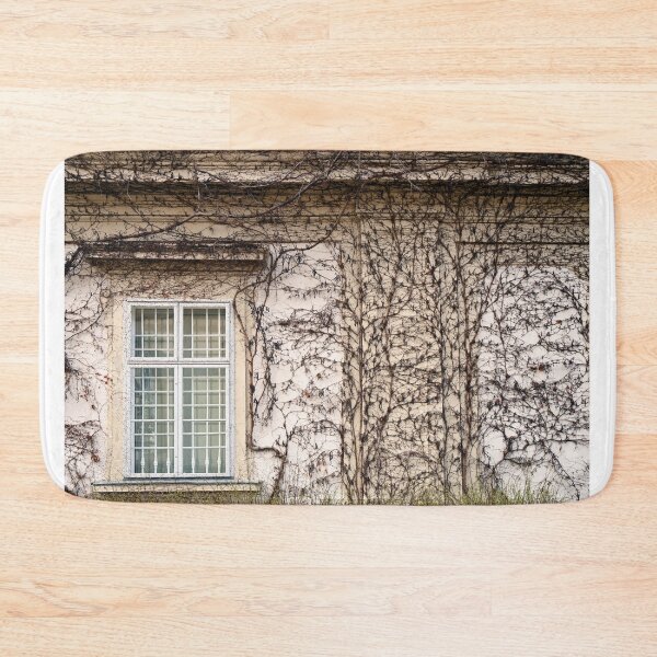 Item preview, wall with rustic window and creeper plant in Vienna Austria designed and sold by goceris.