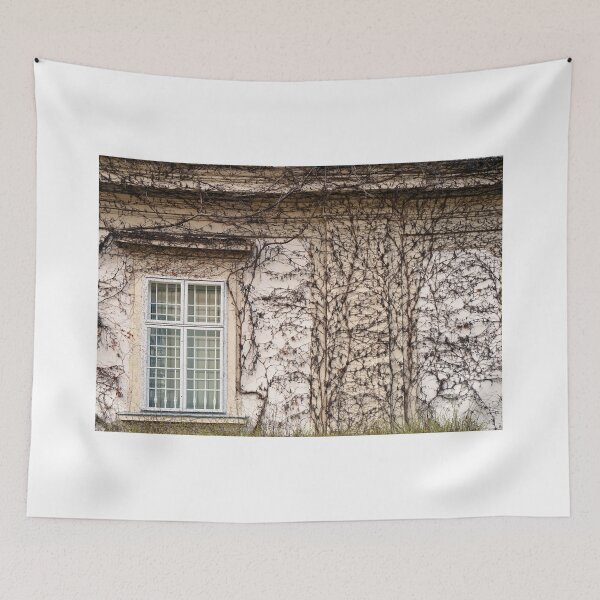 Item preview, wall with rustic window and creeper plant in Vienna Austria designed and sold by goceris.