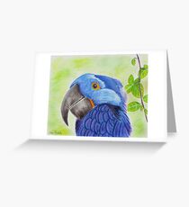 Blue Smiling Parrot on Green leaves Background Greeting Card