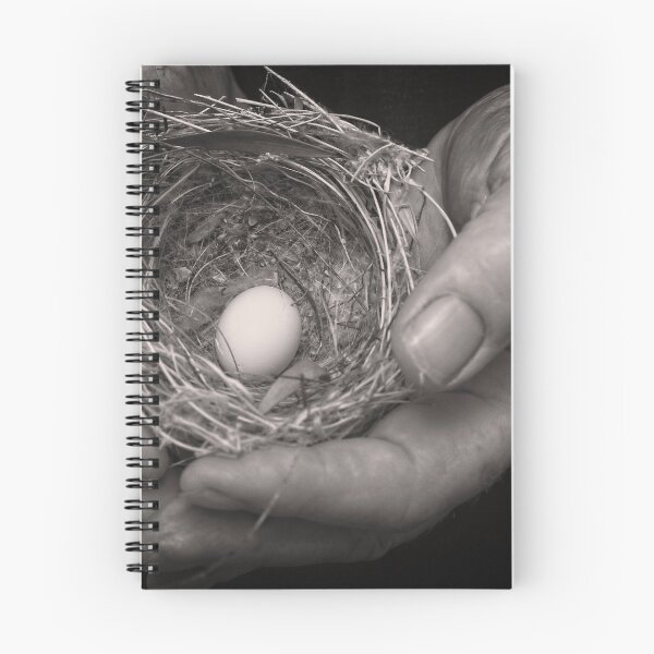 Item preview, The Nest designed and sold by Geraldine Holly.