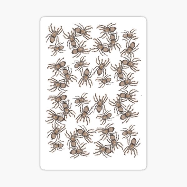 Item preview, Tarantulas designed and sold by SnakeArtist.