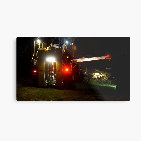 Grape Harvester by South Australian artist Avril Thomas Metal Print