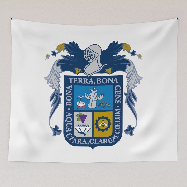 Artikelvorschau, Flagge von Aguascalientes. Mexikanischer Staat entworfen und verkauft von toluk.