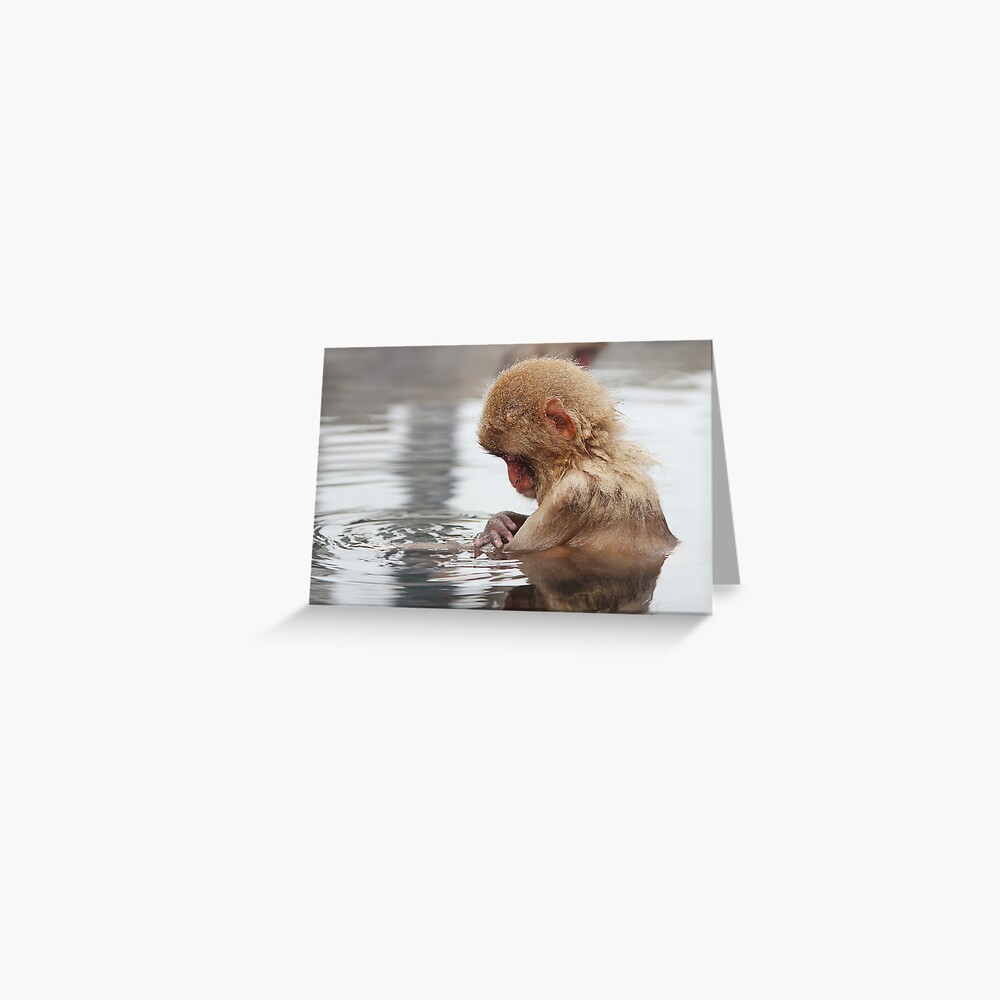 Item preview, Greeting Card designed and sold by cjrush.