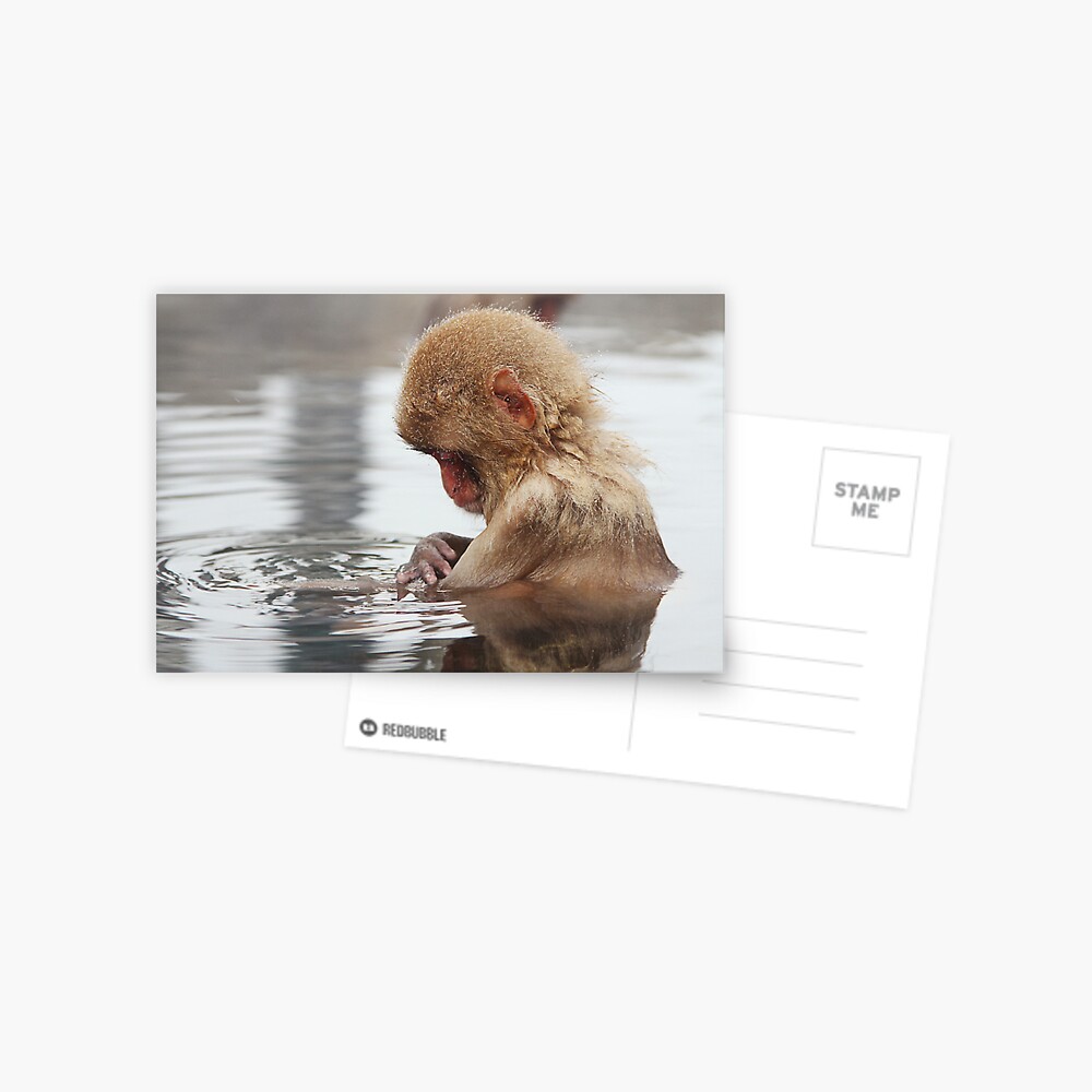 Item preview, Postcard designed and sold by cjrush.