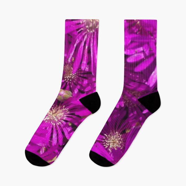 Item preview, Pretty Purple Daisies designed and sold by Designs By Creation.