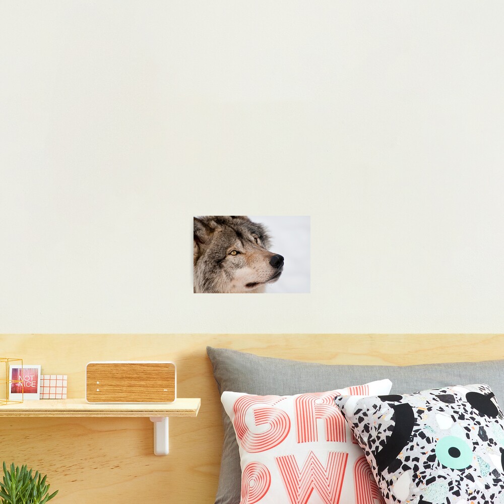 Vista previa del artículo con la obra «Lámina fotográfica», diseñado y vendido por WolvesOnly.