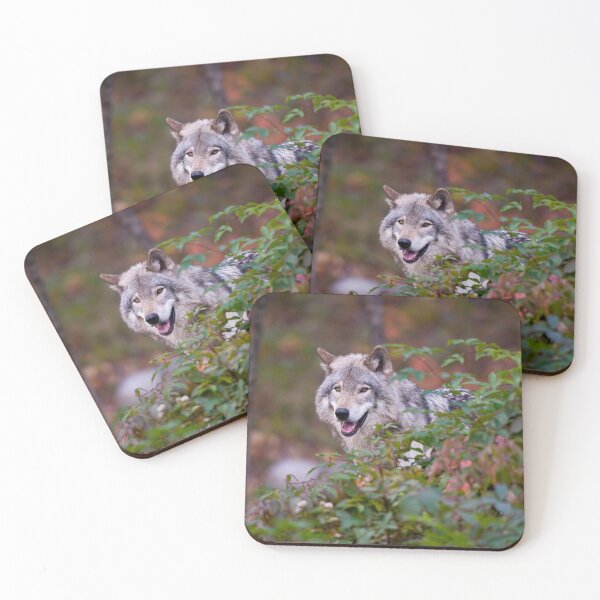 Item preview, Timber Wolf designed and sold by WolvesOnly.