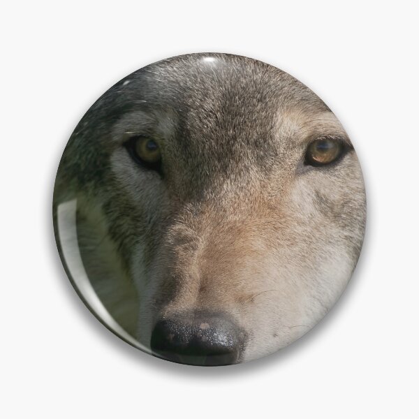 Item preview, Timber Wolf designed and sold by WolvesOnly.