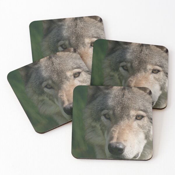 Artikelvorschau, Timber Wolf entworfen und verkauft von WolvesOnly.
