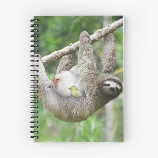 Item preview, Sloth and mother hen designed and sold by Huhni.