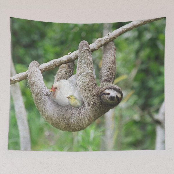 Item preview, Sloth and mother hen designed and sold by Huhni.