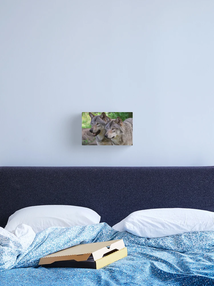 Thumbnail 2 of 3, Canvas Print, Timber Wolves designed and sold by WolvesOnly.