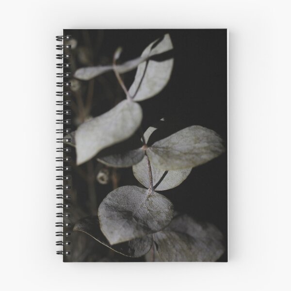 Item preview, Dried Plants - Loss, Memory, & Gratitude: study 2 designed and sold by Geoff Treagus.