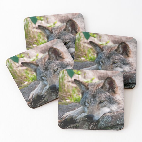 Item preview, Timber Wolf designed and sold by WolvesOnly.