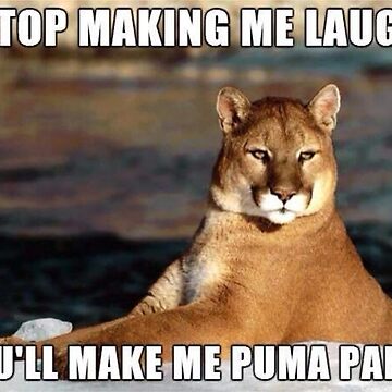 Puma my pants discount