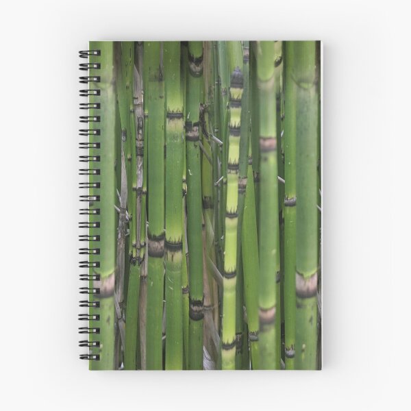Item preview, Patrón de bambú designed and sold by naturalpatterns.
