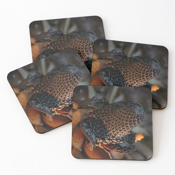 Item preview, Dried Plants - Loss, Memory, & Gratitude: study 3 designed and sold by Geoff Treagus.