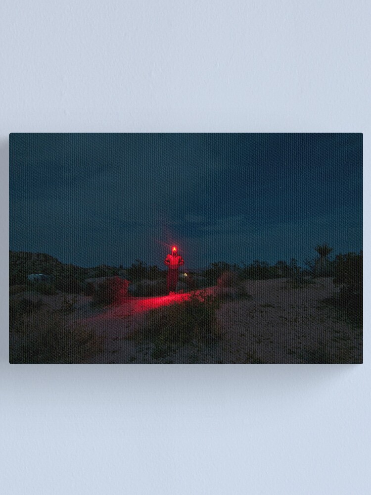 Alternate view of Man with Red Light - Joshua Tree Canvas Print