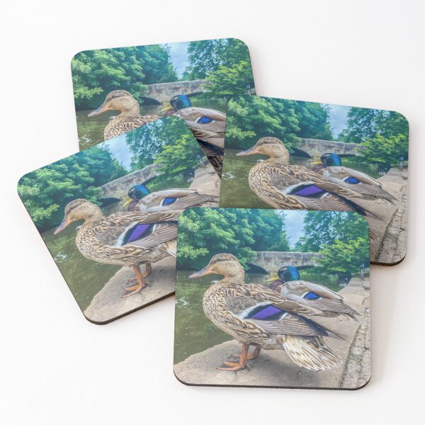 Item preview, Two Best Friends designed and sold by SIDphotography.
