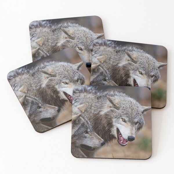 Item preview, Timber Wolves designed and sold by WolvesOnly.